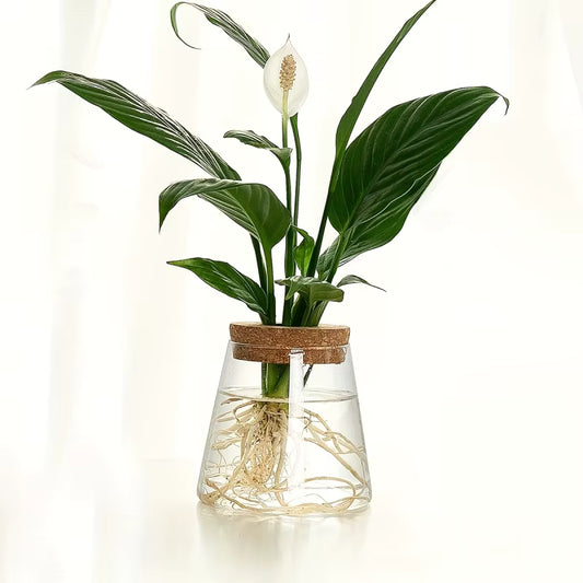 Conical Botanical Vase